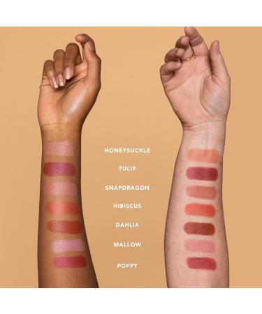Ethique Hibiscus Satin Matte Lipstick - Vibrant Coral 0.28 oz - Vegan & Cruelty-Free - Buy Online on GoSupps.com