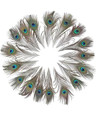 12 PCS Real Natural Peacock Eye Feathers 10-12 inch - DIY Craft & Wedding Decor - Buy Online on GoSupps.com