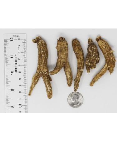 DABC OAK LAND American Ginseng Slices Wisconsin American Slices Root for Tea Energy for Men Women Mental Boosts Immunity (16OZ/Bag - Ginseng Root) - Buy Online on GoSupps.com