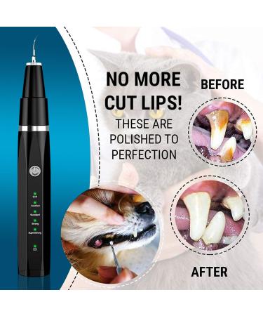 Ultimate Tartar Remover for Dogs & Cats - Ultrasound Dental Care Set | Combat Bad Breath & Gum Infections - Buy Online on GoSupps.com