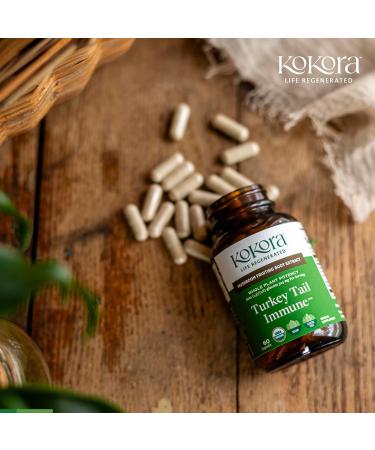 kokora Turkey Tail Immune - Organic Adaptogenic Mushroom Supplement - Includes Potent Extracts of Turkey Tail and Ashwagandha - 60 Capsules - 30 Servings - Buy Online on GoSupps.com