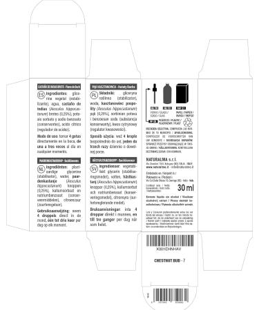 Chestnut Bud (Rosskastanienknosppe) Bach Flower Drops | Alcohol-Free Liquid Extract | 30 ml Vegan Flower Essences | Natural Healing Remedies - Buy Online on GoSupps.com