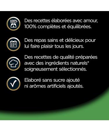 Cesar Barquettes Les Terrines du Jardin Wet food for dogs Meat with vegetables Pack of 16 trays x 300 g - Buy Online on GoSupps.com