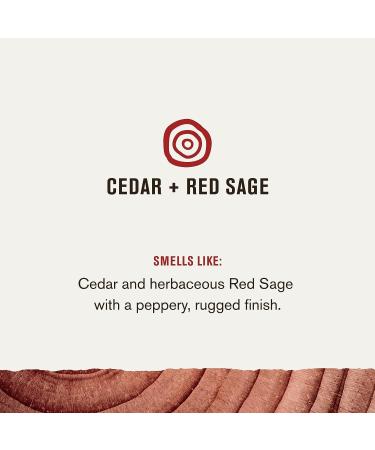 Every Man Jack Nourishing Cedar + Red Sage Body Wash - 24oz 2 Bottles - Buy Online on GoSupps.com