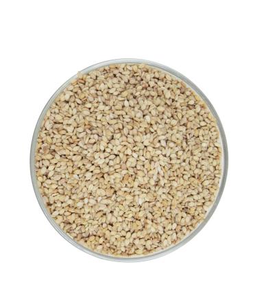 Natural Organic Safed Til White Sesame Edible Raw White Sesame Seed Ideal for for Puja (Pack of 100)