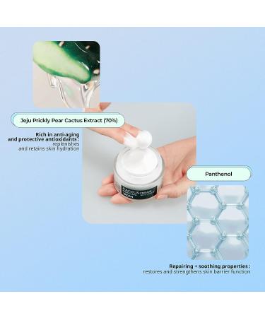 YADAH Cactus Cream 1.69 Fl.Oz. | Hydrating Moisturizer for Sensitive Dry Skin - Buy Online on GoSupps.com