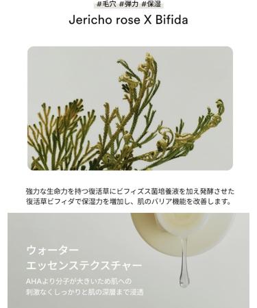Abib Jericho Rose PHA Toner - Hydrating & Firming Korean Skincare 200ml | Vegan Peptides Bifida & Bakuchiol - Buy Online on GoSupps.com