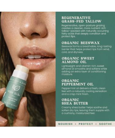 Cloven: Regenerative Tallow Lip Balm Peppermint | Grass-Fed Beef Tallow with Organic Beeswax Shea Butter & Almond Oil | Natural & Hydrating | Made in USA 6.7g Tube Mint To Be - Buy Online on GoSupps.com