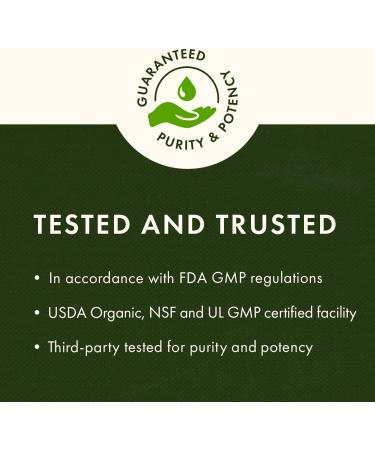 Swanson Holy Basil Leaf (Tulsi) - Stress Support and Well-Being Supplement - (120 Capsules, 800mg Per Serving) 2 Pack - Buy Online on GoSupps.com