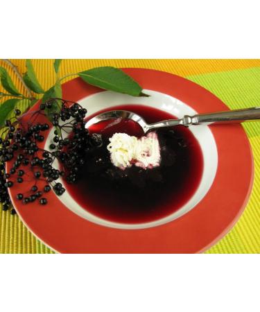 Health Embassy Elderberry Dried Fruit (Sambucus nigra L) 50g - Pack of 1 - Buy Online on GoSupps.com