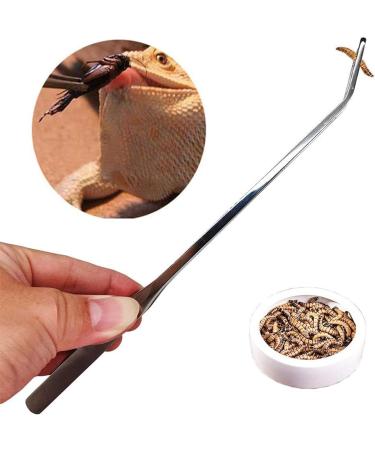 ABMRO Reptile Feeding Tool Cleaning Clamp and Long Feeding Tweezers for Hamsters Insects Turtle Snake Spider Frog Gecko Chameleon and Other Small Animals - Buy Online on GoSupps.com