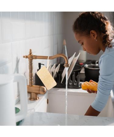 Healeved Natural Loofah Dish Sponge Vegetable Scrubber Non-scratch Scrub Bath Shower Brush With Loop Cleaning Sponge for Kitchen Dishwashing Scouring Pad Square - Buy Online on GoSupps.com