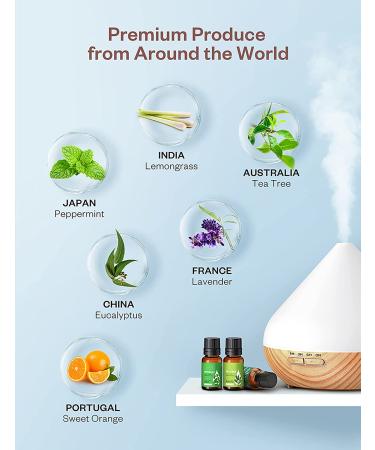 AOSNO 6pc Essential Oils Gift Set - Top 6 Aromatherapy Oils for Candle Making, Skin, Massage, Hair Care & Diffuser - 100% Pure 0.34 Fl Oz (Pack of 6) - Buy Online on GoSupps.com