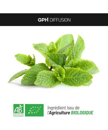 Lemon Balm Organic 250 mg - 200 Vegetable Capsules - Buy Online on GoSupps.com