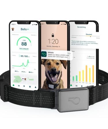 Whistle Switch GPS + Health + Fitness - Smart Dog Collar, 24/7 Dog GPS Tracker Plus Dog Health & Fitness Monitor, Sleek Design, Waterproof Pet Tracker with 2 Rechargeable Batteries (Newest Model) Black M/L