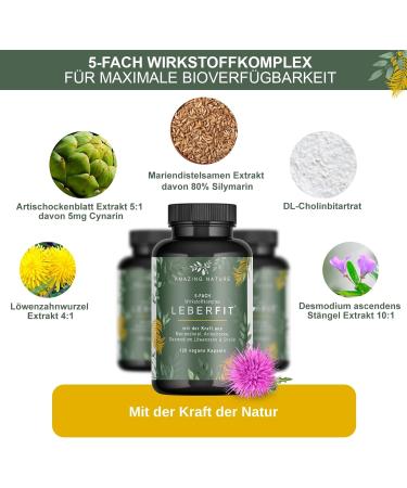 Liver Fit High-Dose Milk Thistle Capsules | 120 Vegan Capsules | 80% Silymarin | Artichoke Dandelion Desmodium & Choline | International Shipping - Buy Online on GoSupps.com