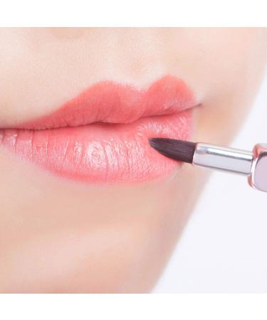 ENERGY Retractable Lip Brushes Set - Glossy Lipstick & Lip Liner Applicators | Vegan Synthetic Bristles | Travel-Friendly 3PCS Makeup Brushes - Buy Online on GoSupps.com