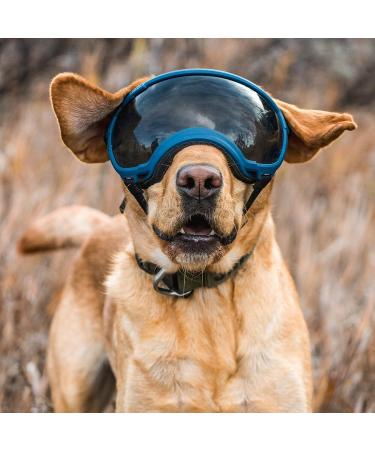 Rex Specs V2 Dog Goggles - Medium Yazberry | Protective Eyewear for Dogs - Buy Online on GoSupps.com