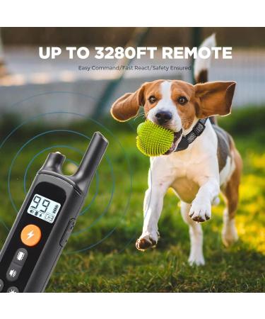 Buy New Classic Nylon Dog Collars - Waterproof Breathable Easy to Handle for All Sizes - Buy Online on GoSupps.com