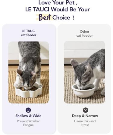 LE TAUCI Ceramic Cat Food Bowl Set - 8 Oz Small Dishes for Indoor Cats | Cat Water Bowl for Whisker Fatigue Relief | Cute Paw Shaped Kitten Bowls - Pink (Set of 2) - Buy Online on GoSupps.com
