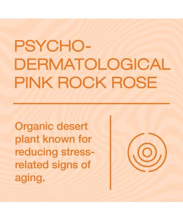 GLITCH Blemish Free & Anti-Aging 3-Step Skincare Regimen for Youthful Skin - AM & PM Treatments with Exfoliating Mask - 1.7 fl oz x 3 - Buy Online on GoSupps.com