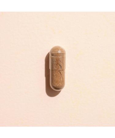 Plant Therapy Lion's Mane Mushroom Supplement Capsules Manufactured in USA 4 Month Supply Supports Brain Health Mental Clarity & Memory Supplements for Women & Men 120 Vegetarian Capsule - Buy Online on GoSupps.com