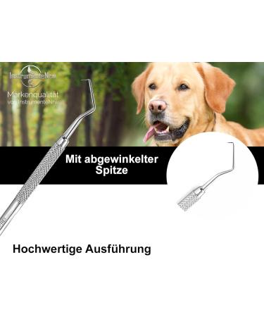 Premium Stainless Steel Dog Tartar Remover | Pointed Tooth Cleaner & Toothbrush Replacement | Zartar Scratches Type 18 for Effective Pet Dental Care - Buy Online on GoSupps.com