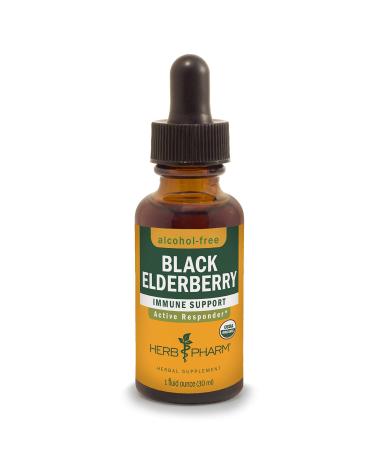 Herb Pharm Certified Organic Black Elderberry Liquid Extract for Immune System Support Alcohol-Free Glycerite 1 Ounce 1 Fl Oz (Pack of 1) Alcohol-free Glycerite