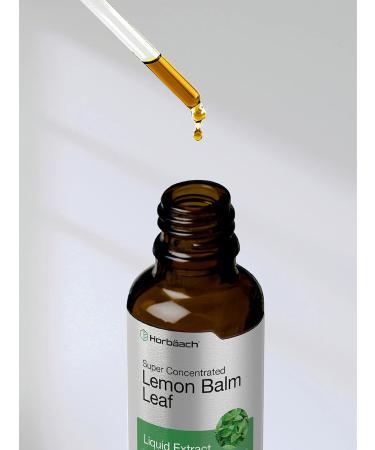 Horb ach Lemon Balm Tincture | 2 fl oz | Melissa Officinalis Leaf | Vegetarian Liquid Extract | Non-GMO Gluten Free Supplement - Buy Online on GoSupps.com