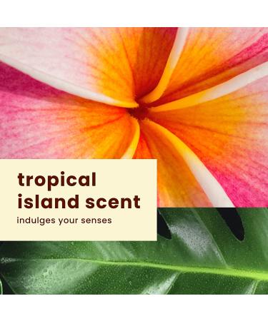 Hawaiian Tropic Island Sport Sunscreen Spray SPF 30 - 6oz - Buy Online on GoSupps.com