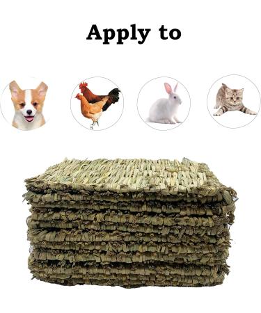 Handwoven Grass Nesting Box Pads for Chickens and Small Animals - Set of 6 Natural Straw Mats - Buy Online on GoSupps.com