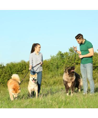Stylish Adjustable Nylon Dog Leash for Large Dogs | Double Reinforced with Brown Leather Elements Perfect for Medium & Large Breeds - Buy Online on GoSupps.com