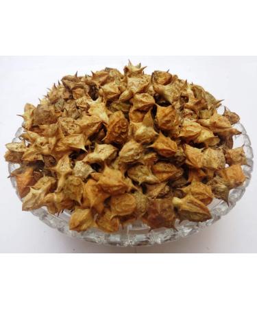 Gokhru Bada | Gokshura 250Gms | Pedalium Murex | Large Caltrops | Land Caltrops | Gokharu | Gorkhu | | Gorakhu
