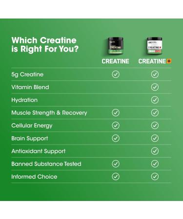 Optimum Nutrition Creatine Monohydrate Plus Powder Strawberry Peach Flavored Creatine Performance Blend with Electrolytes for Hydration Added Vitamins 40 Servings 360 Grams (Packaging May Vary) Strawberry Peach 360 Gra  - Buy Online on GoSupps.com