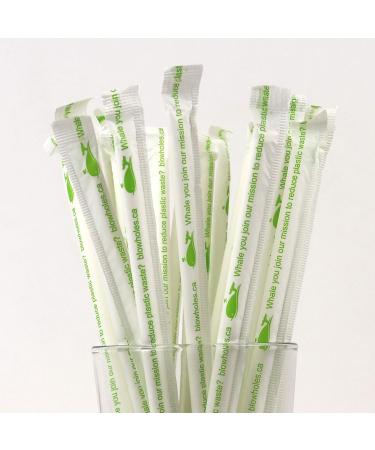 Blowholes Standard Size Long-lasting Paper Straws (individually wrapped) 250 Count - Originals - Buy Online on GoSupps.com