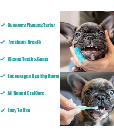 5-Piece Dog Toothbrush Set | Reusable 360 Silicone Dental Care for Dogs & Cats - Ideal for Small & Large Breeds (Blue) - Buy Online on GoSupps.com