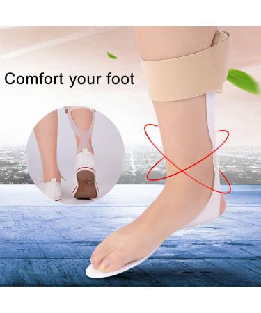 Yinhing Foot Drop Corrector - Adjustable Ankle Support Brace & Orthosis for Enhanced Mobility (Right M 39-45 Yards) - Shop Internationally - Buy Online on GoSupps.com