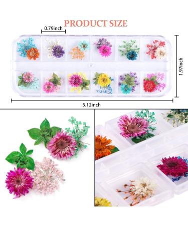 UNIME 24 Colors Nail Art Dried Flowers - Mini Real Natural 3D Applique Sticker for Manicure Decoration - Gypsophila Flowers Leaves - 2 Boxes - Buy Online on GoSupps.com