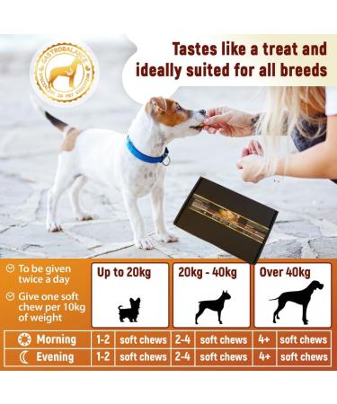 GastroBalance Advanced Probiotics for Gut Health - 60 Vet Recommended Natural Probiotic Chews (Chicken Flavor) - Buy Online on GoSupps.com