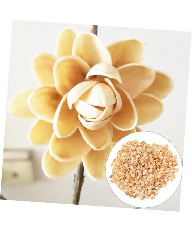 COHEALI 1 Pistachio Shell Kids Crafts Kids DIY Craft Charms Material DIY Accessory Child Decorate Self Made As Shown 2X1.2CM - Buy Online on GoSupps.com