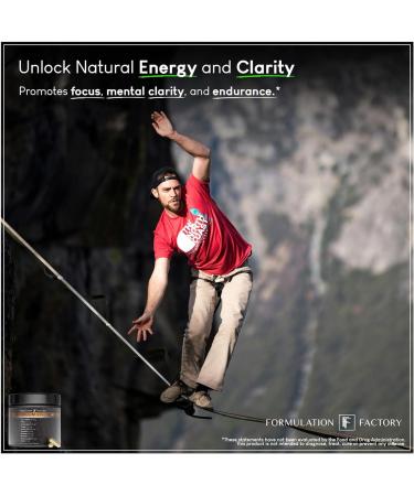 Formulation Factory Mushroom Supplement - Shroom Vroom 10-in-1 Mushroom Complex with Lion's Mane Cordyceps & Turkey Tail - Brain Focus & Energy Capsules - 120 Capsules 2 Month Supply 120 Count (Pack of 1) - Buy Online on GoSupps.com