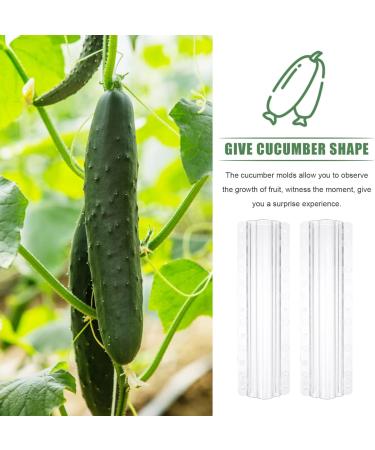 jojofuny 3Pcs Fruit Shaper Vegetable Forming Mould Tool Fruit Stereotypes for 20x6cm As Shown - Buy Online on GoSupps.com