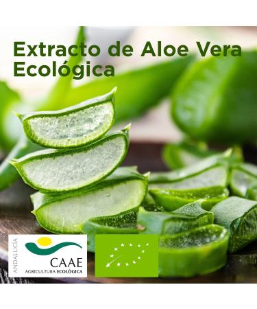  Hostelpak 24 units - Posidonia Collection Shower Gel with organic aloe vera 500 ml - Posidonia Amenities Hotel Collection - Buy Online on GoSupps.com