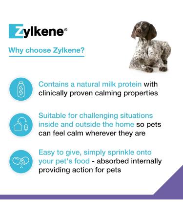 Zylkenee 450mg - 20 Capsules | Natural Stress Relief Supplement for Pets | Fast International Shipping - Buy Online on GoSupps.com