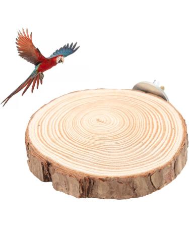 Round Wooden Bird Seating Board - Ribballs Perch Platform for Parrots & Nymphensittich - 10cm Cage Accessory - Buy Online on GoSupps.com