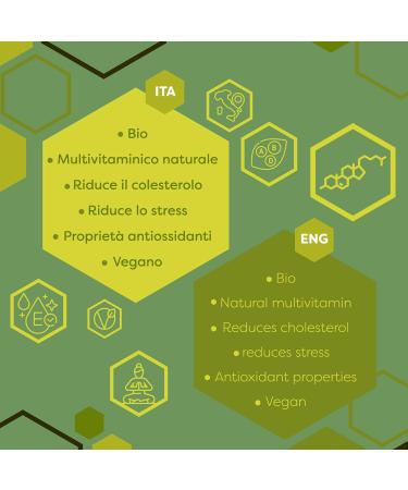 ERBOTECH BIO Matcha Tea 200g - Organic Japanese Green Powder - 100% Natural & Vegan - Ideal for Cakes, Smoothies, Iced Tea - Buy Online on GoSupps.com