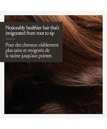 John Frieda Detox and Repair Masque/Mask for Dry Damaged Hair (250 mL) - Buy Online on GoSupps.com