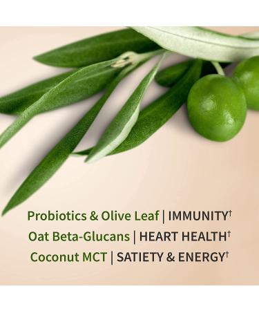 Buy Garden of Life MD Plant-Based Protein Powder - Rich Chocolate 31.11 oz | Sustainable Nutrition - Buy Online on GoSupps.com