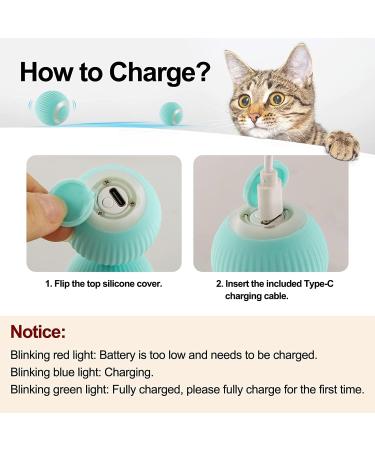Havenfly Interactive Cat Ball Toy Intelligent Indoor Automatic Moving Ball Puzzle Dispel Boredom USB Charging Pet Toy with Light Fun Present for Kitten (Blue) Blue+roll - Buy Online on GoSupps.com