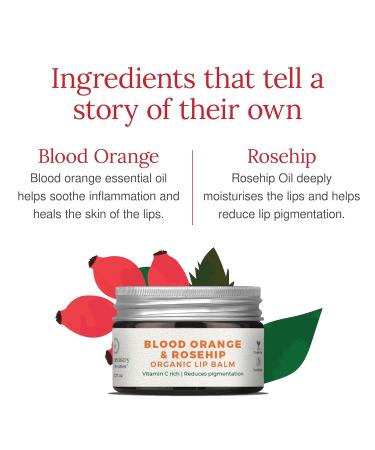 Organic Orange & Rosehip Lip Balm | Nourishing Balm for Dry Chapped Lips | Ecocert Certified Clinically Tested Cruelty-Free Vegan - 5 gm - Buy Online on GoSupps.com